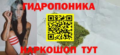 спайс Гатчина