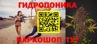 метадон Гай