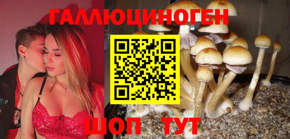 Псилоцибиновые грибы прущие грибы Гусь-Хрустальный