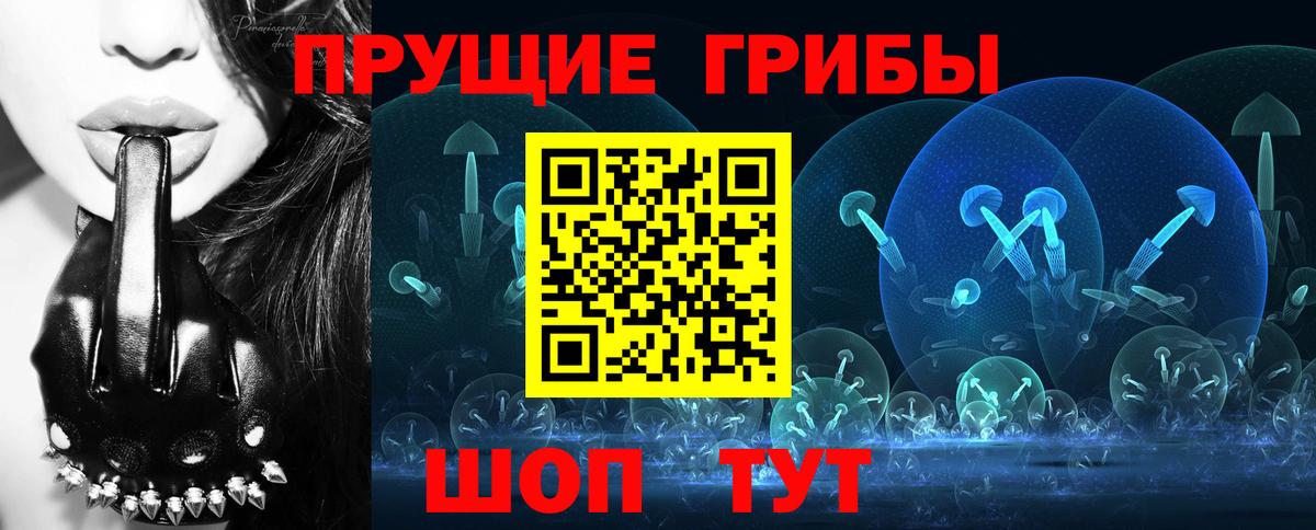 Псилоцибиновые грибы Magic Shrooms  Галлюциногенные грибы GOLDEN TEACHER  Вход с VPN  Гусь-Хрустальный 